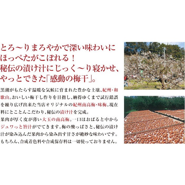 【単品】紀州南高梅 しそ梅 300g