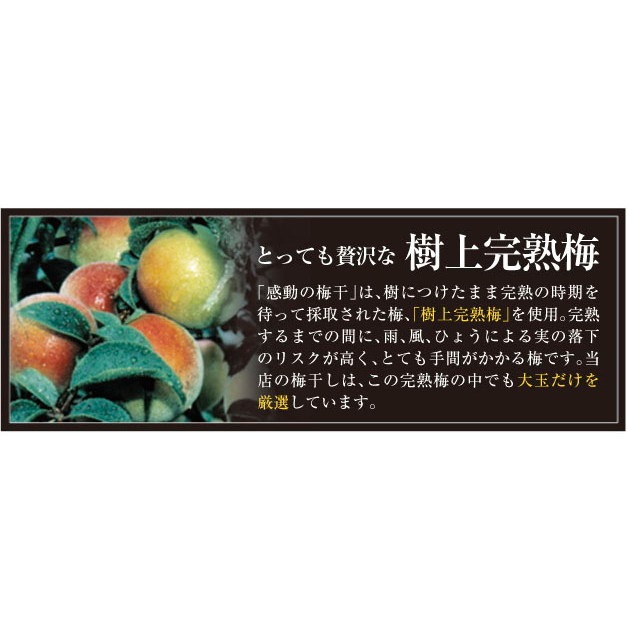 【単品】紀州南高梅 はちみつ梅 300g