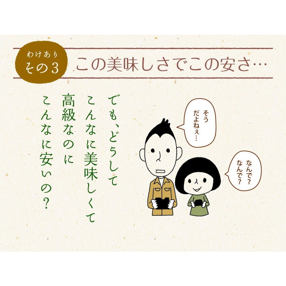 【単品】有明海産 きざみ海苔 40g メール便