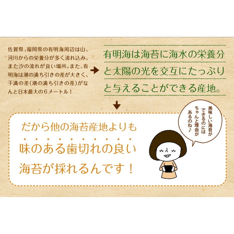 【2袋セット】 有明海産 一番摘み 訳ありプレミアム味付け海苔 8切120枚 メール便