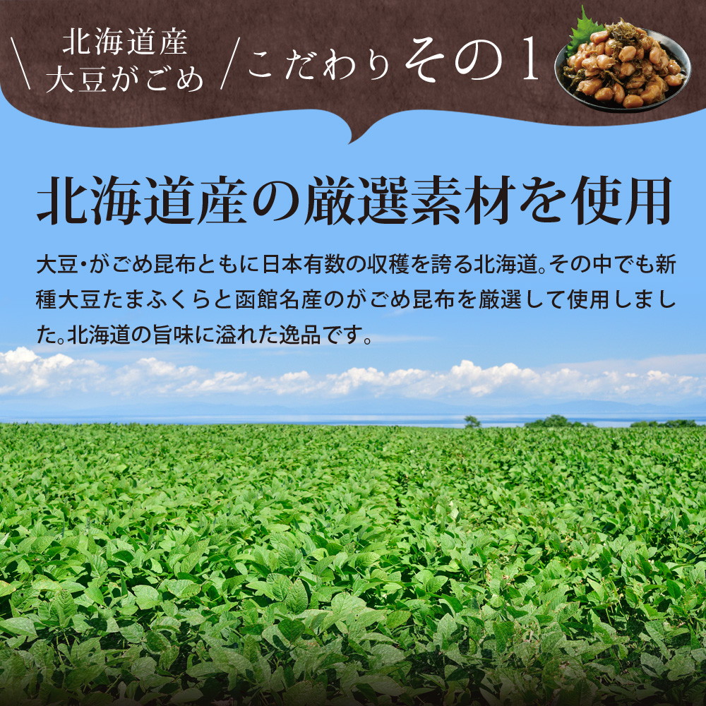 【3個セット】北海道産 大豆がごめ 100g メール便