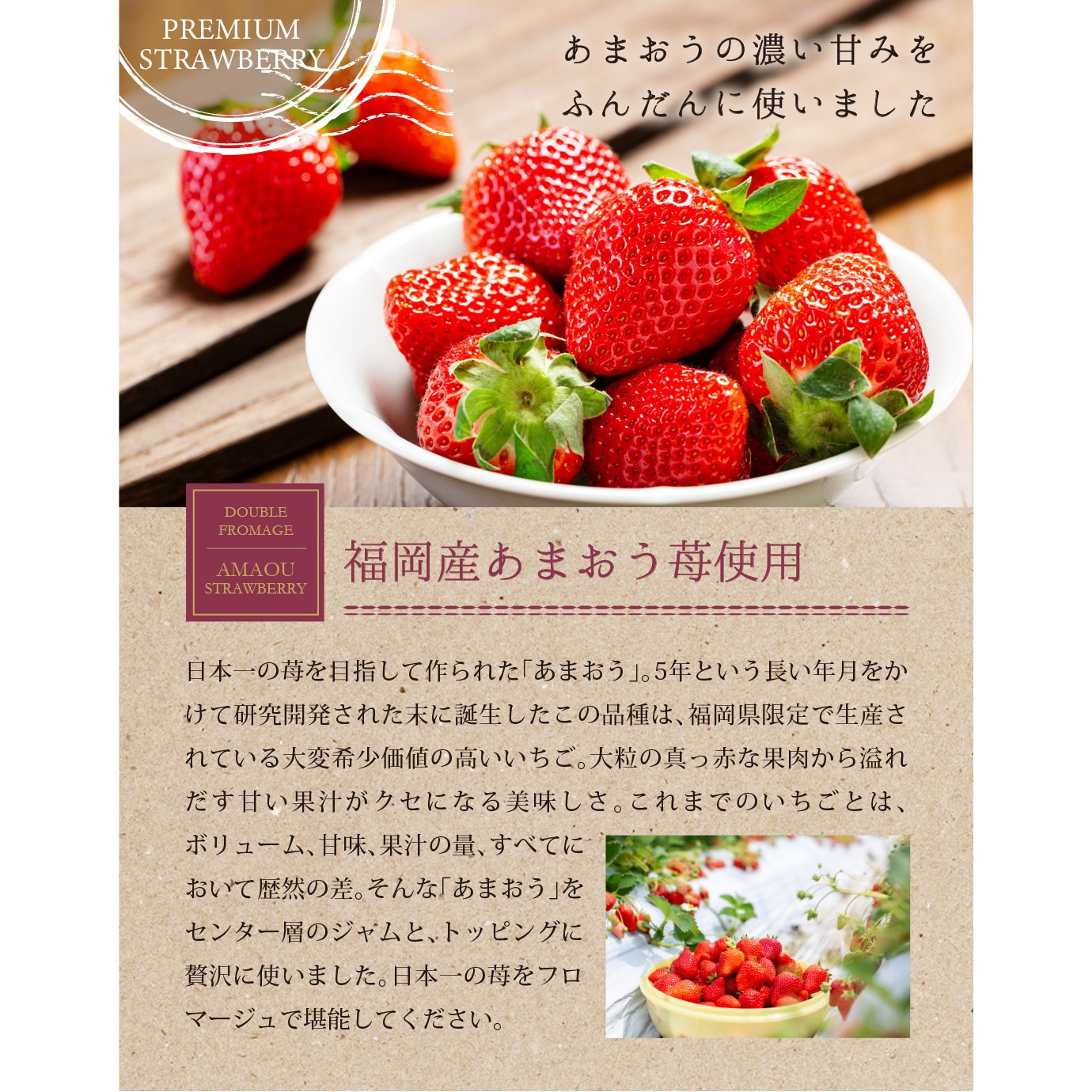 shirousagi ドゥーブルフロマージュ 2個セット あまおう苺・川根柚子・京抹茶から選べる