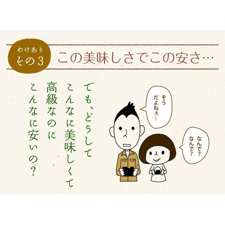 海苔 味付海苔 訳あり 有明産 味付け海苔 8切160枚 2袋セット メール便 味付け海苔 味つけ海苔