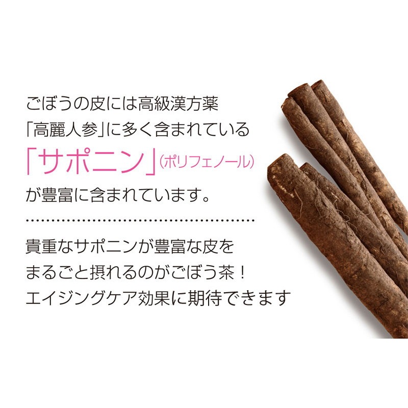 【単品】国産 ごぼう茶 ティーバッグ 20包 メール便