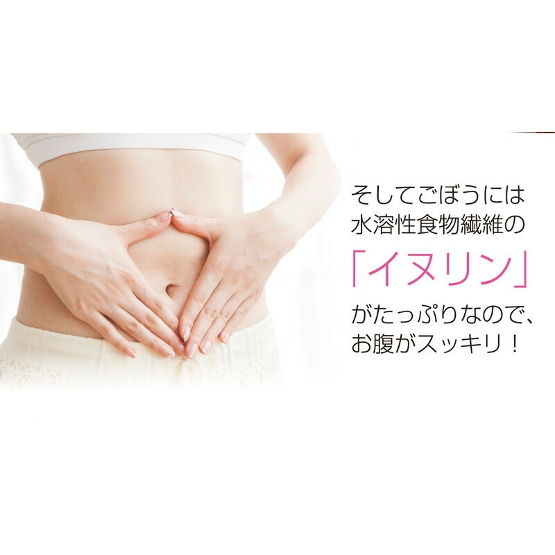 【単品】国産 ごぼう茶 ティーバッグ 20包 メール便