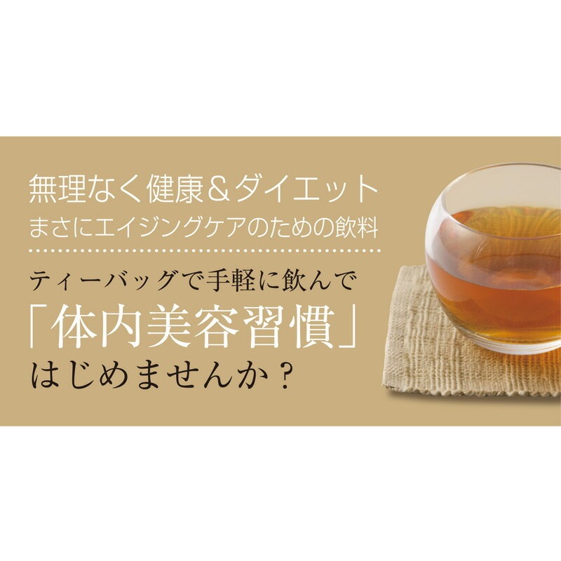 【単品】国産 ごぼう茶 ティーバッグ 20包 メール便