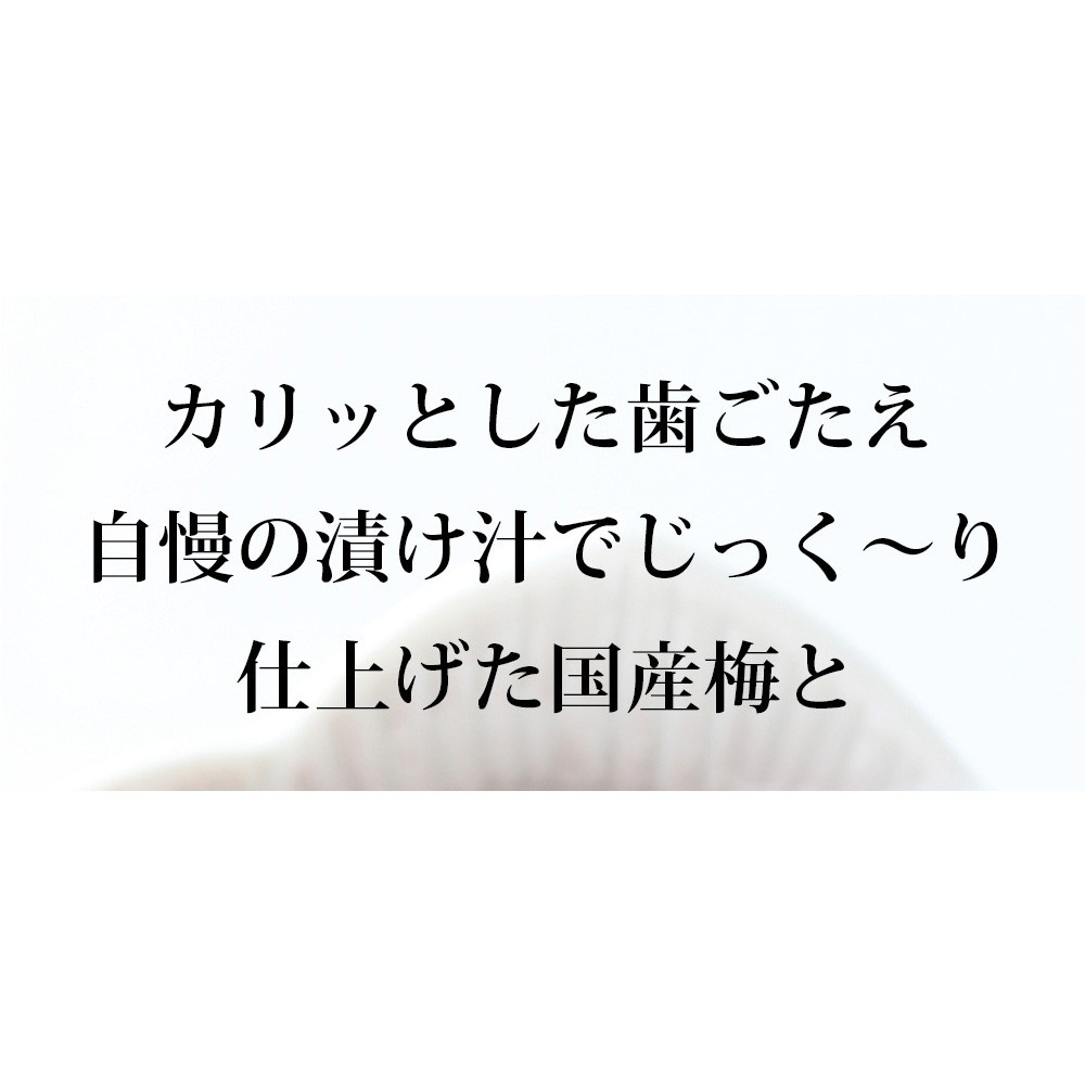 【単品】国産梅ひじきふりかけ 70g メール便