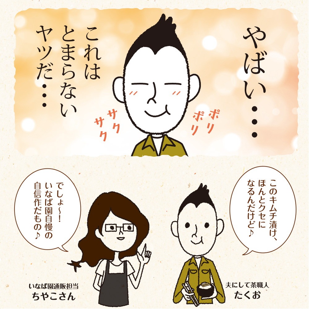 【3個セット】国産 若採りごぼう キムチ漬け 130g メール便
