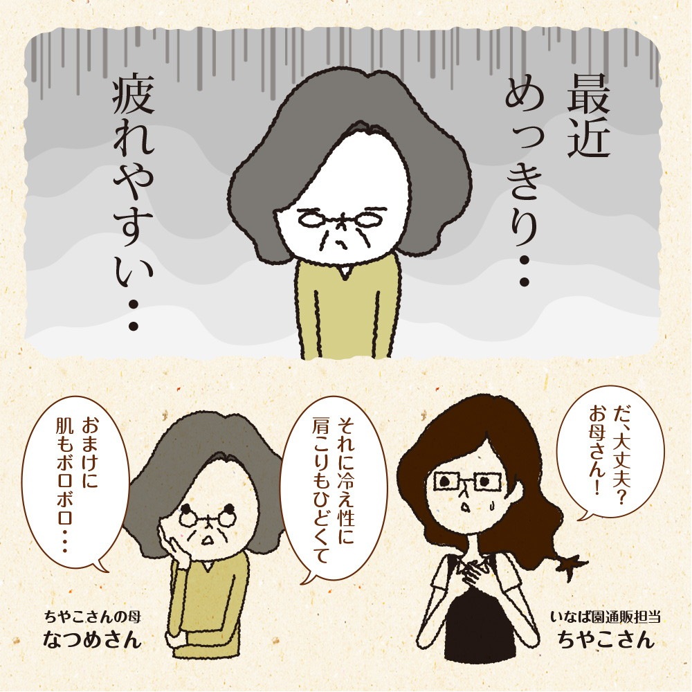 ザクロとビーツのエクオール 30包入り メール便