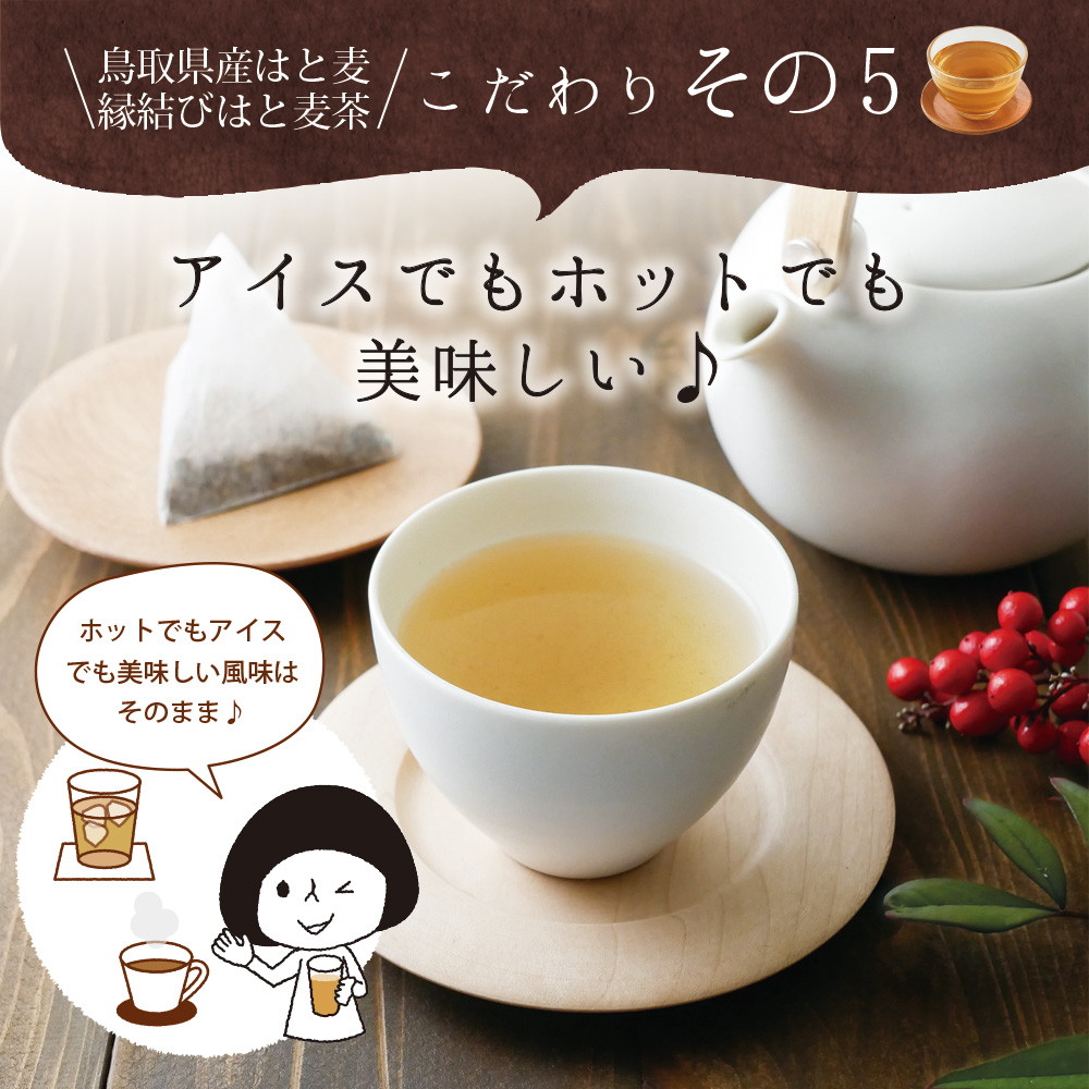 はと麦茶 ティーバッグ 60包入り 三角ティーバッグ 3g×60包 メール便 茶匠庵 健康茶 水出し ノンカフェイン お茶 はとむぎ茶