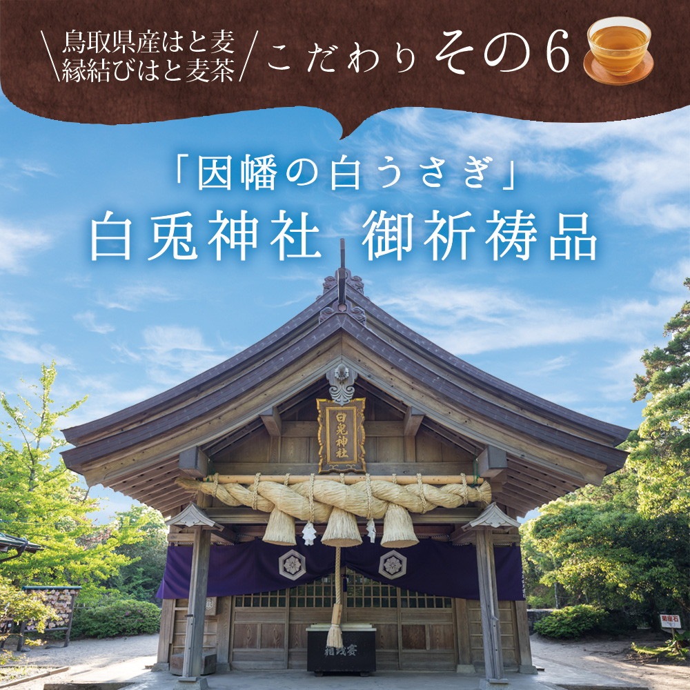鳥取県産 はと麦茶 ティーバッグ 3g×60包 メール便