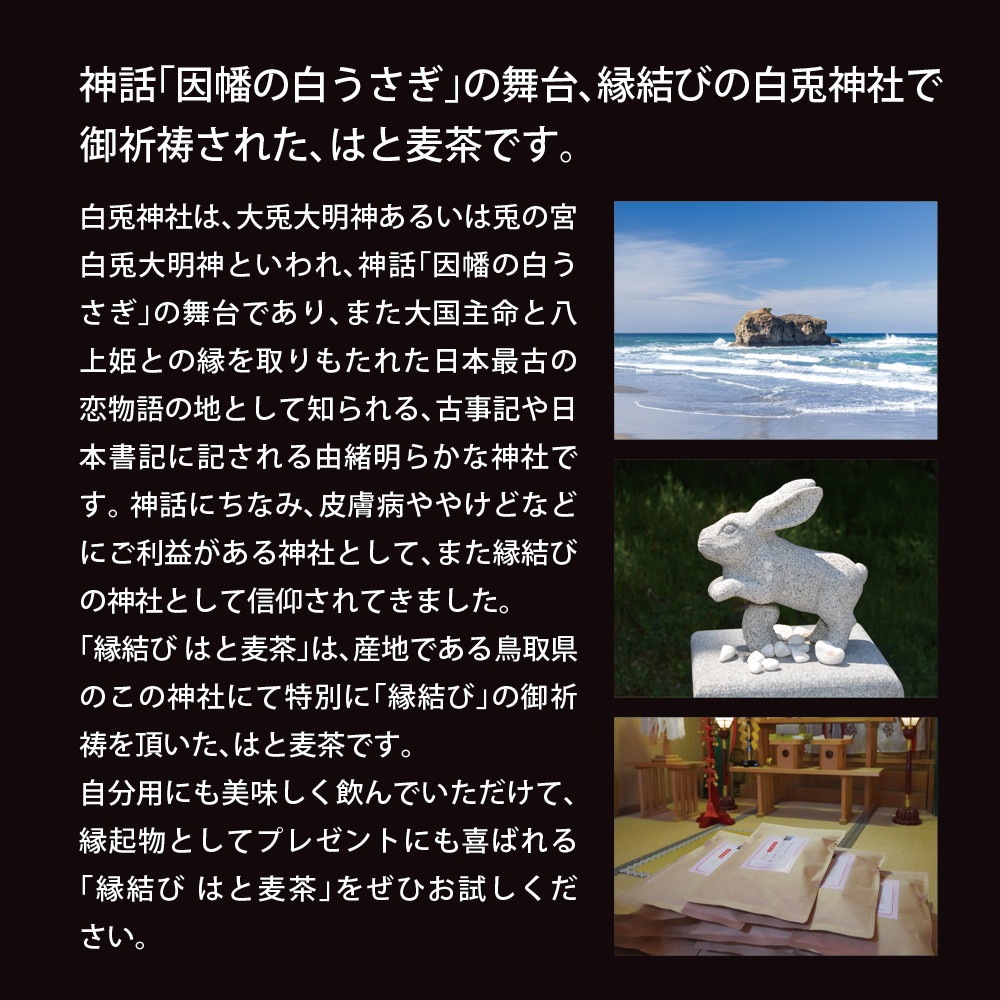 鳥取県産 はと麦茶 ティーバッグ 3g×60包 メール便