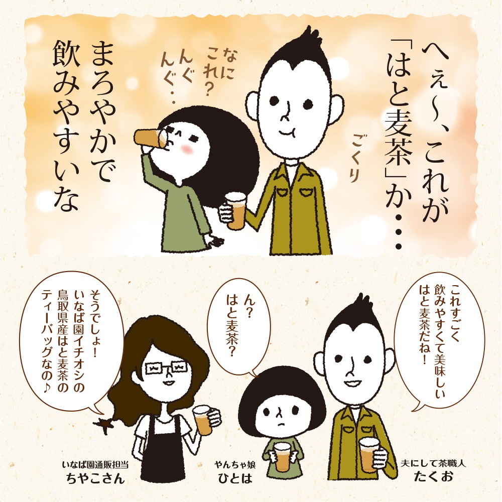 鳥取県産 はと麦茶 ティーバッグ 3g×60包 メール便