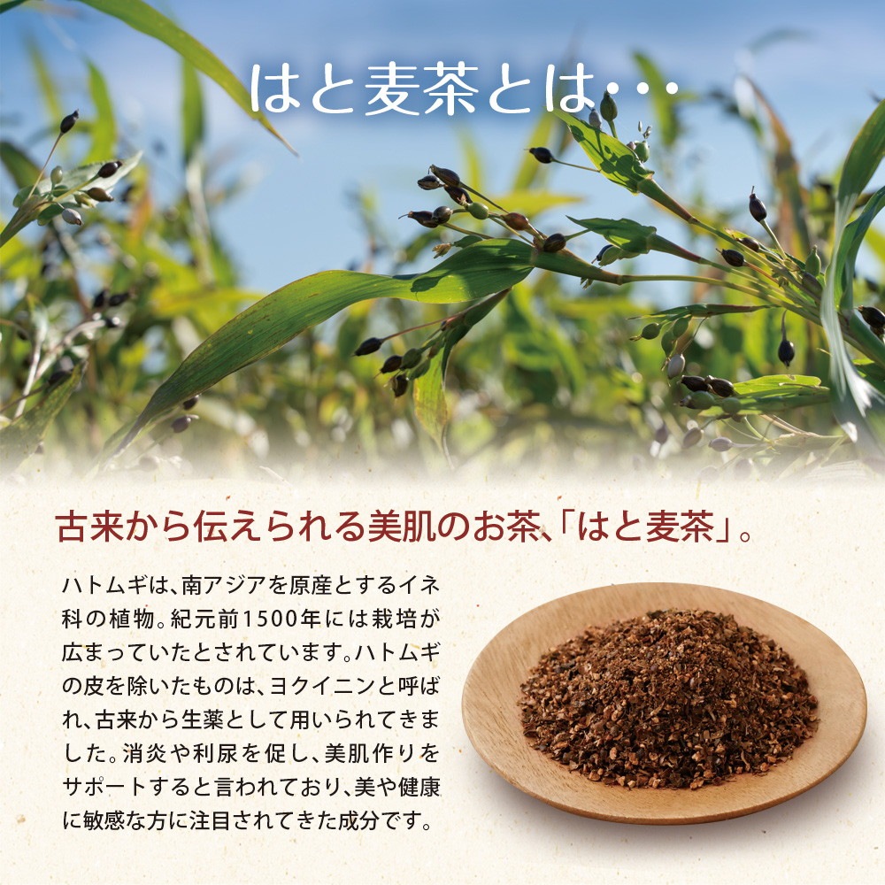 はと麦茶 ティーバッグ 60包入り 三角ティーバッグ 3g×60包 メール便 茶匠庵 健康茶 水出し ノンカフェイン お茶 はとむぎ茶