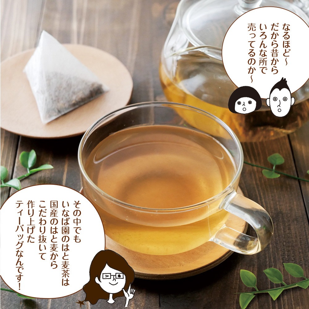 鳥取県産 はと麦茶 ティーバッグ 3g×60包 メール便