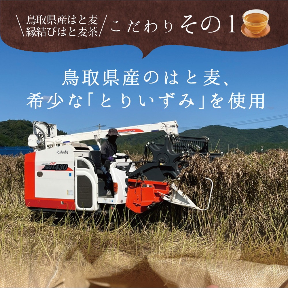鳥取県産 はと麦茶 ティーバッグ 3g×60包 メール便