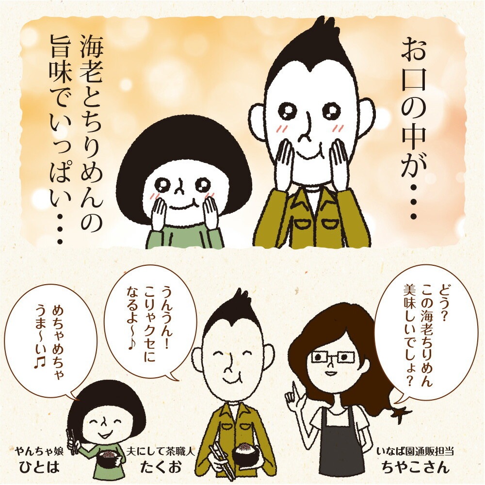【単品】海老ちりめんふりかけ 30g メール便