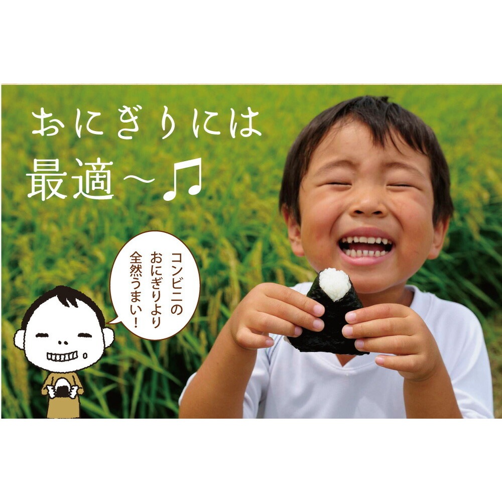 【単品】有明海産 コンビニおにぎり海苔 25枚入り メール便