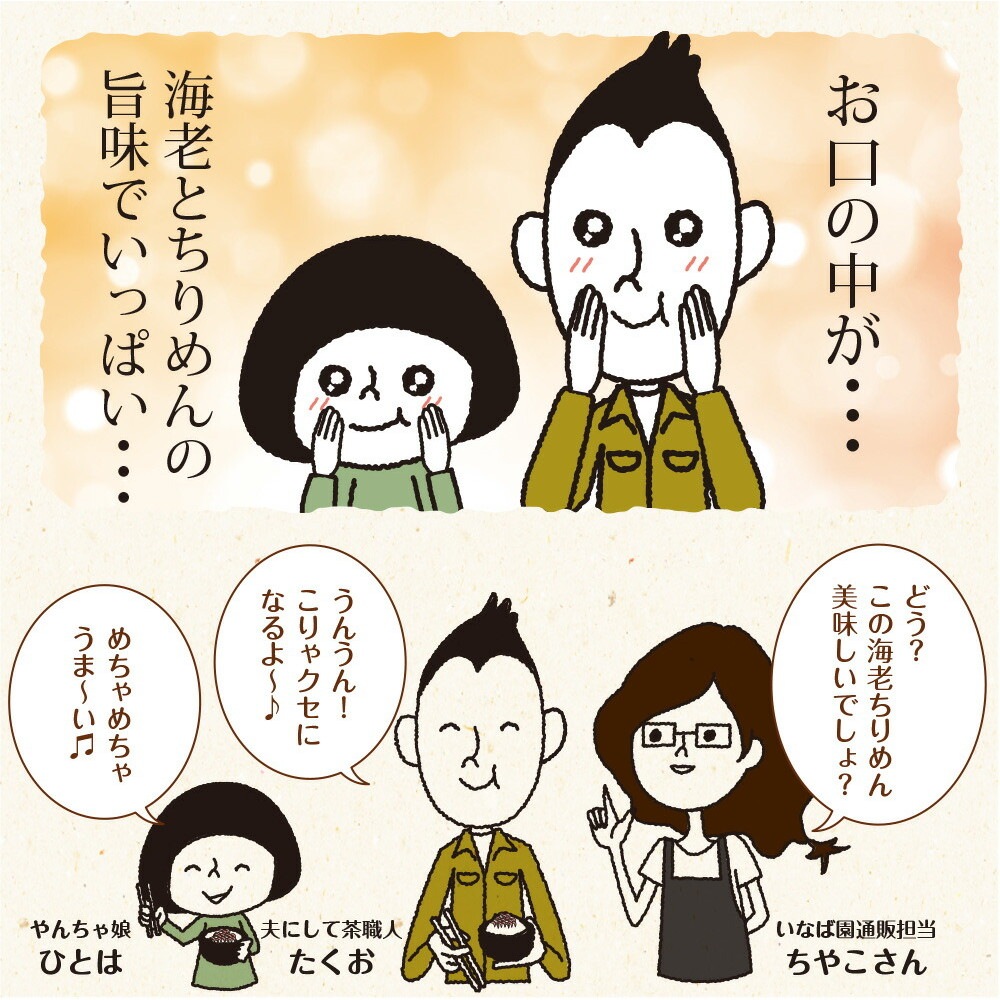 【2個セット】海老ちりめんふりかけ 30g メール便