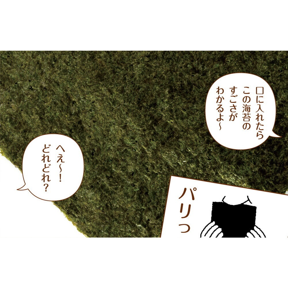 【単品】有明海産 一番摘み佐賀海苔 10枚 メール便