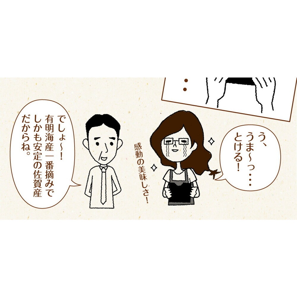 【3個セット】有明海産 一番摘み佐賀海苔 10枚 メール便