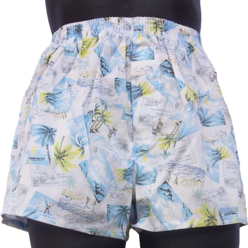 Leȥ󥯥 ϥ磻򿧡MLL  100%