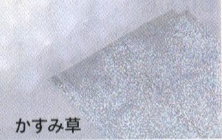 �ݥ�LD��Ϥ�ߡ����������������90������ѡˡ�10����