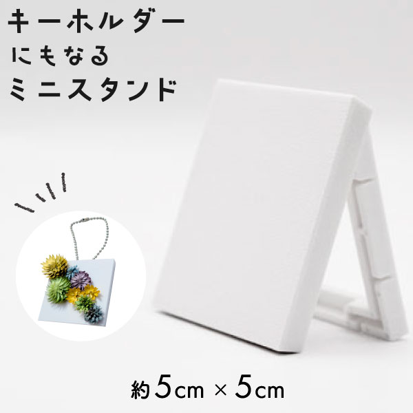 ネット限定】SG-KPZ1（ピロー型ギフトボックス） | イナズマ公式