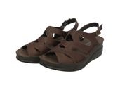 2025ƿNo.4229ХåХɥǥ󥵥ܳס	