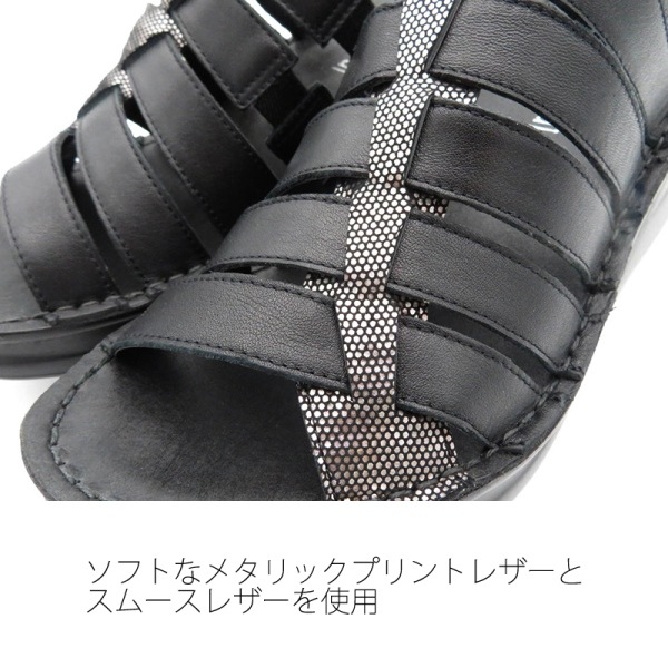 No.4201ӥ쥶ߥ塼ܳס