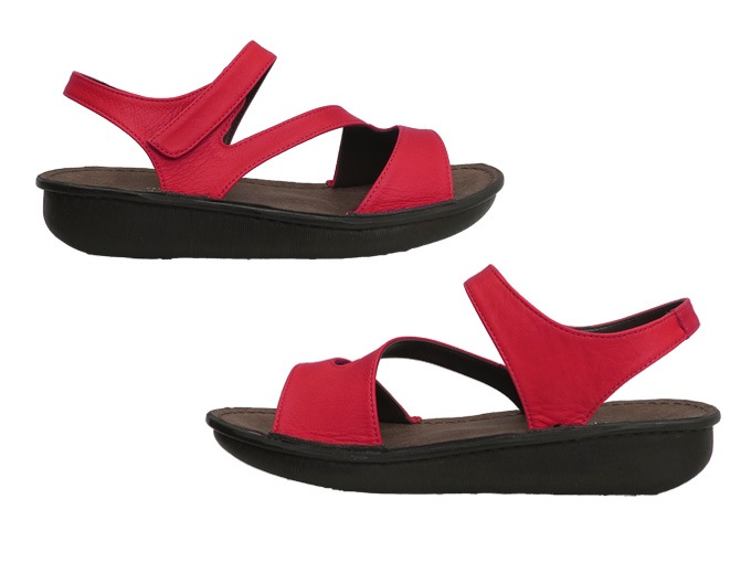 ХåȥåץեåȥNo.8888ܳס