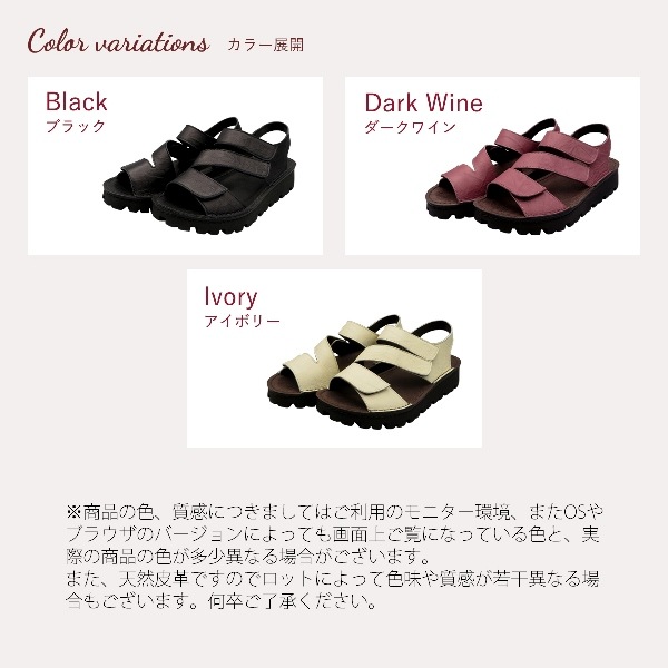 No.1029ȥץ٥ȥ󥯥륵ܳס