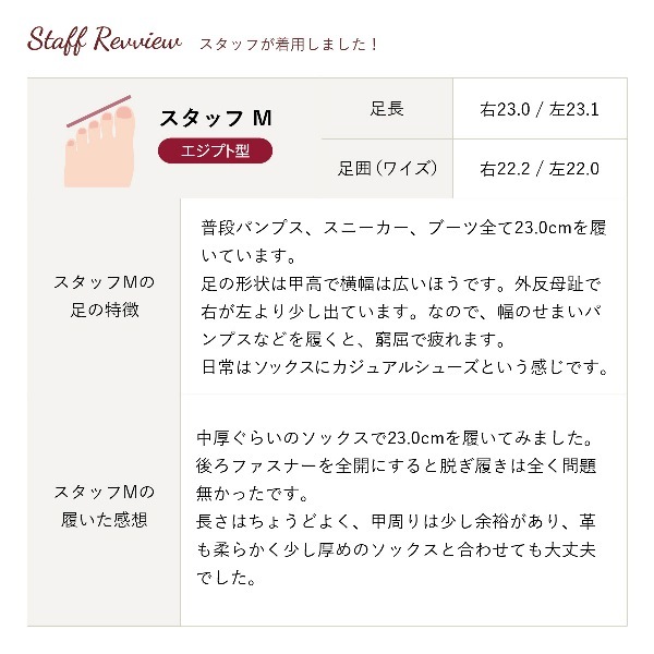 ϥåȥ졼åץ塼եʡաܳסNo.8308