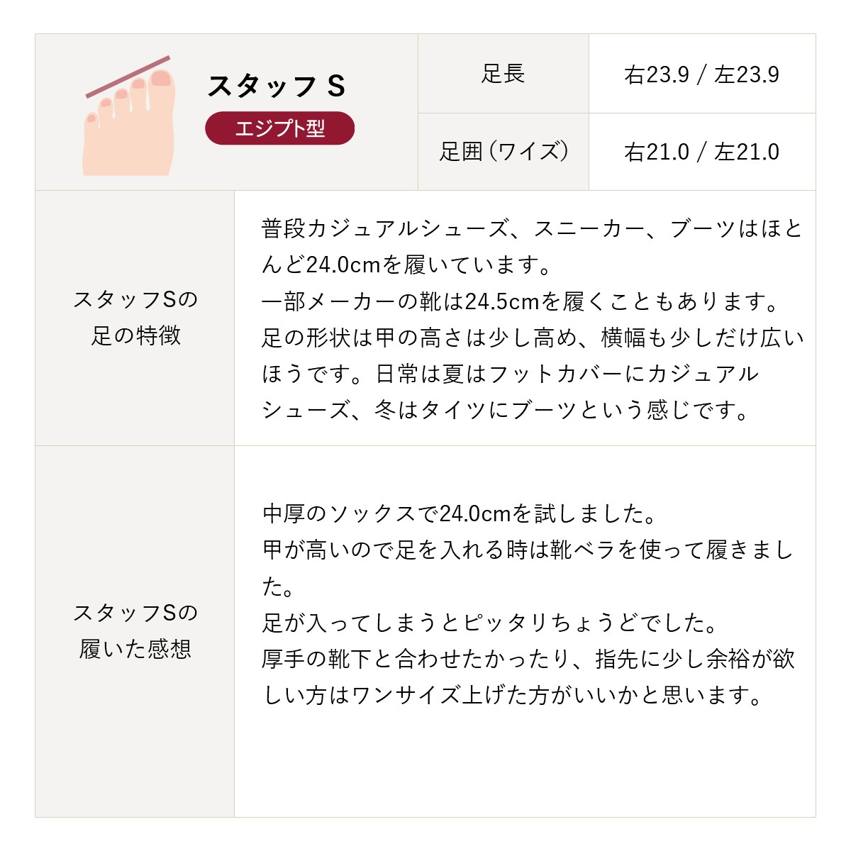 ��2025�տ����No.6010S���饤�ȥ�����ӥåȥ����ե������ܳס�������