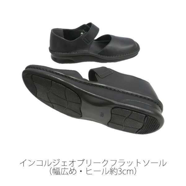 ��ľ��Ź�����No.800�������ҡ��륻�ѥ졼�ȥ٥�ȥ��塼�����ܳס�������