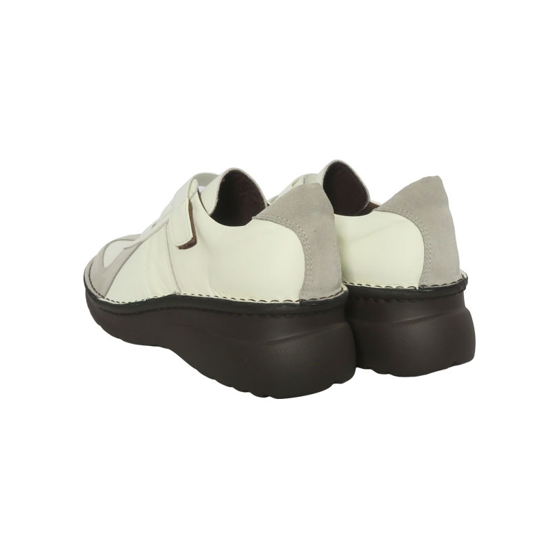 ��2026�տ����No.6035�������������ȥ�åץ��塼�����ܳס�������