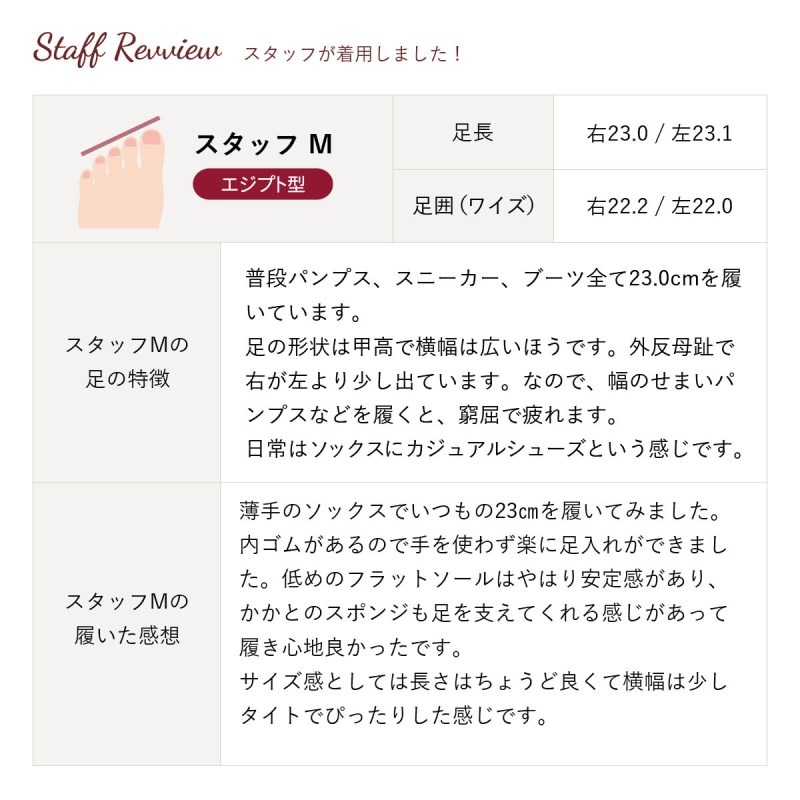 ��2026�տ����No.8681���ʥ�����饦��ɥ��塼�����ܳס�������