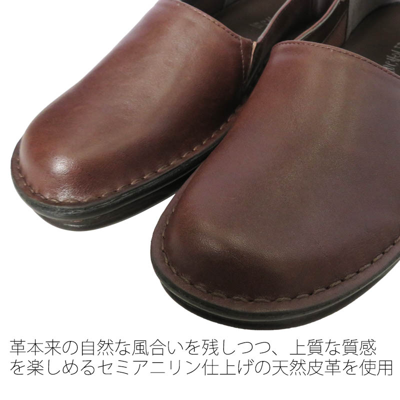 ��2026�տ����No.8681���ʥ�����饦��ɥ��塼�����ܳס�������