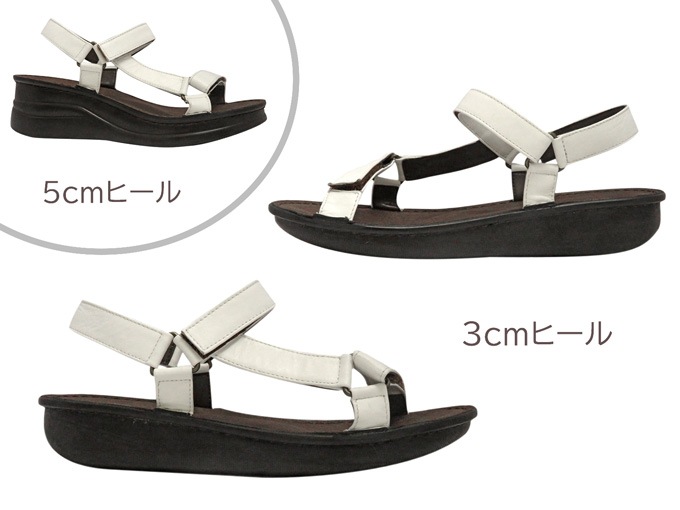 ľ餳ҡ⤬٤륹ȥåץݡĥNo.88871ܳס