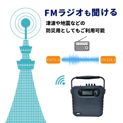 �ڥ�󥿥��Ͽ����ǽ�դ� �Хåƥ꡼��¢�ݡ����֥�磻��쥹���ԡ��������ϥ�ɥޥ���2�ܥ��å� ����30W AUDIO NEXSUS AN-336 (���ȿ�B41��B42)