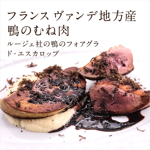 �ϥ󥬥꡼�� ���Τ���������Υե������� �ɡ����������åס����󥯥����������Х륵�ߥ�������