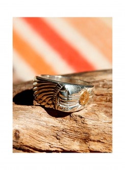 �ڼ����������ʡ� TADY��KING��Indian ����� ���