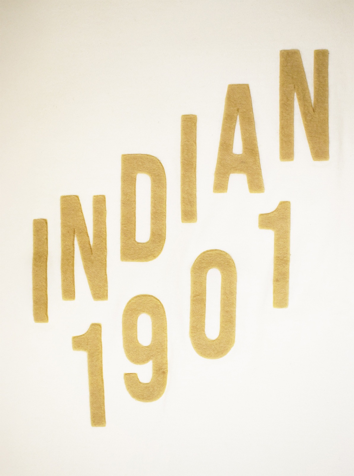 FELT TEE "INDIAN 1901"