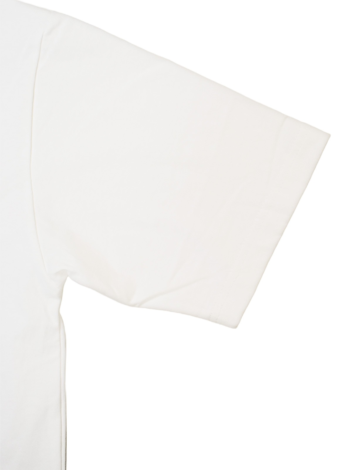 Indian SUKA TEE "HORSE��CACTUS"