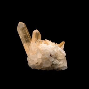 ڥ󥸥󥯥ġۿ徽饹TNG0030