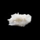 �ڥ�������󥸥�󥬥ҥޥ�仺�ۿ徽���饹������KCJ0012��
