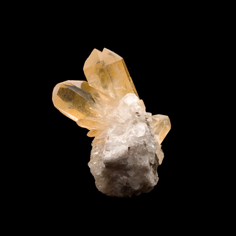 �ڥ��󥸥���󥯥����ġۿ徽���饹������TNG0028��