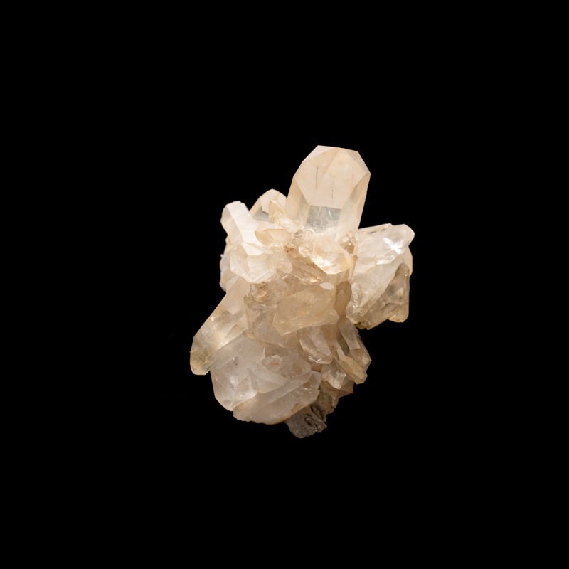 �ڥ��󥸥���󥯥����ġۿ徽���饹������TNG0014��