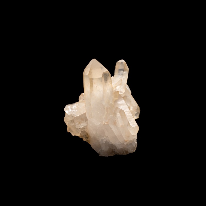 �ڥ��󥸥���󥯥����ġۿ徽���饹������TNG0014��