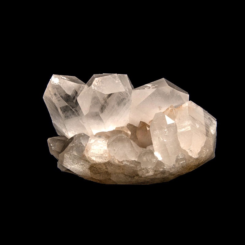 �ڥҥޥ�䡦�ޥ˥ϡ��뻺�ۿ徽���饹������HMN0001��